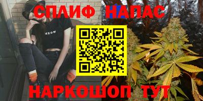 гидра Кингисепп