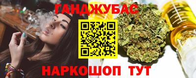 гидра Кингисепп